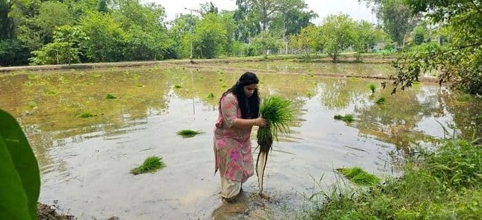 क्यारी में धान रोपनी करती नजर आई पलामू एसपी रिष्मा रमेशन