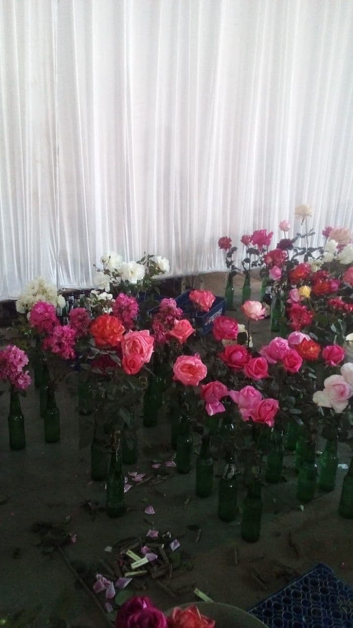 रांची क्लब में 15 मार्च को 103वां बसंत गुलाब शो