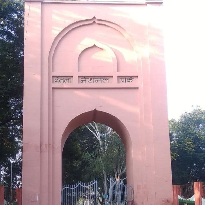 एक जुलाई से तीन माह के लिए बंद रहेगा बेतला नेशनल पार्क, मॉनसून में रहेगी नो-एंट्री