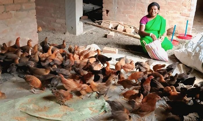 ग्रामीण इलाके की आदिवासी महिलाएं मुर्गी पालन कर बनी आर्थिक रूप से आत्मनिर्भर