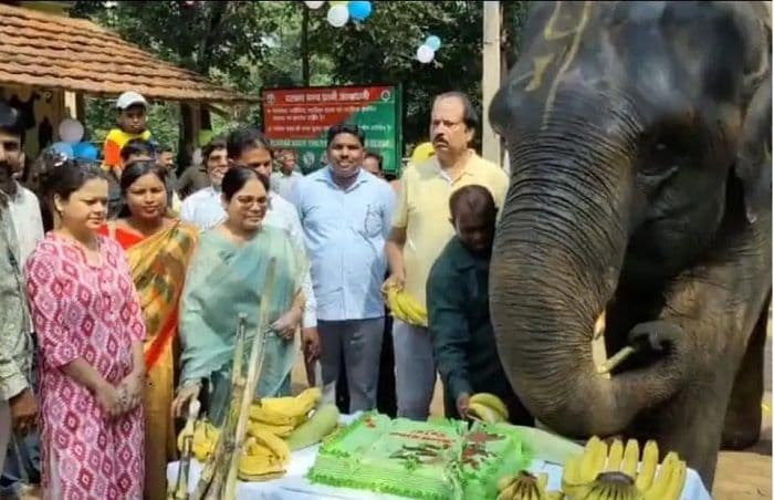 दलमा की शान 'रजनी' का मनाया गया 16वां जन्मदिन
