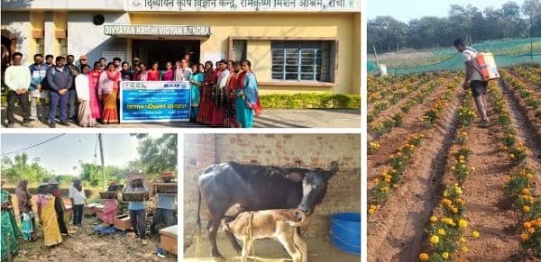 सीसीएल के सीएसआर प्रयासों का दिखा असर: समावेशी विकास, सामाजिक सशक्तिकरण एवं सतत भविष्य की दिशा में बहुआयामी उपलब्धियाँ