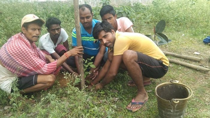 सामाजिक कार्यकर्ताओं ने मंदिर परिसर में किया पौध रोपण