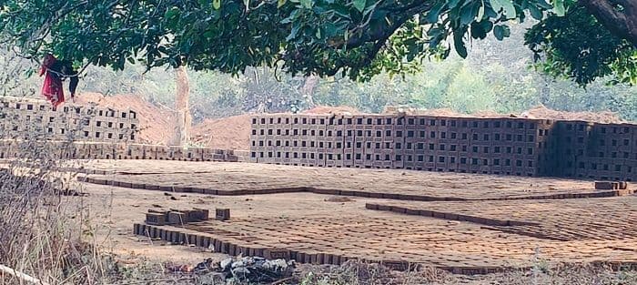 छिपादोहर रिजर्व फॉरेस्ट क्षेत्र में अवैध बंगला ईंट भट्ठों का कारोबार जोरों पर, प्रशासन मौन