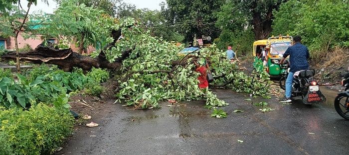 तेज आंधी से गिरा महुआ का पेड़ , यातायात बाधित