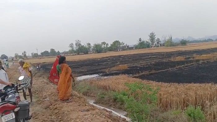 आग लगने से दस बीघा गेहूं की फसल जलकर राख, किसानों में मायूसी