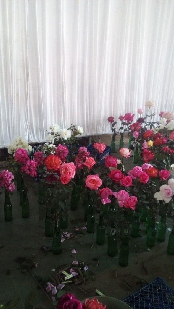 रांची क्लब में कल सजेगी 103वीं गुलाब प्रदर्शनी, देश-विदेश की किस्में होंगी आकर्षण का केंद्र 