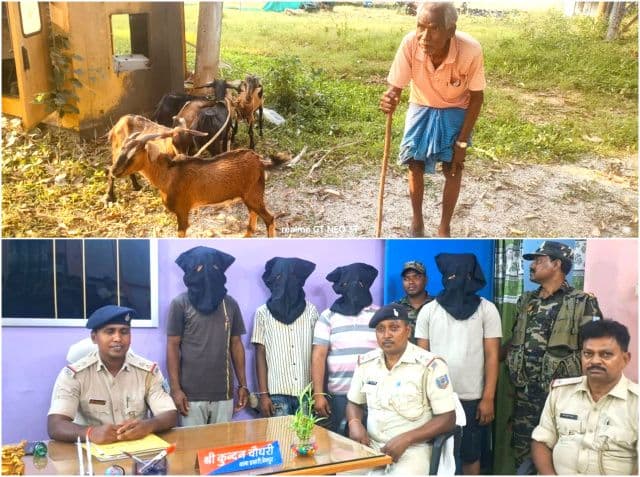 चैनपुर में बकरी लूट कांड का खुलासा, 4 आरोपी गिरफ्तार, 6 में से 6 बकरी बरामद