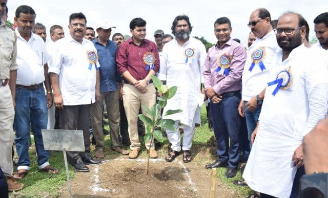 लिट्टीपाड़ा के बड़ा सरसा पंचायत में वन महोत्सव कार्यक्रम का भव्य आयोजन