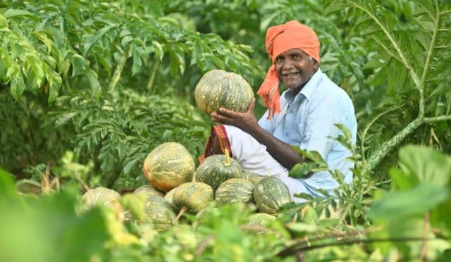 टाटा स्टील फाउंडेशन और नाबार्ड की साझेदारी से सरायकेला में रुका पलायन, बागवानी बनी जीवनशैली