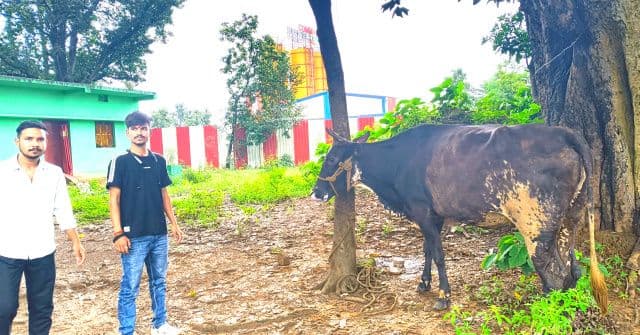 गौ तस्करी की कोशिश नाकाम, विहिप और ग्रामीणों के सहयोग से गौ माता को छुड़ाया गया