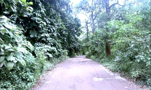 वार्ड-17 की बहुप्रतीक्षित सड़क को मिली मंजूरी, पार्षद की जिद और डीसी की दरियादिली से 1.87 किमी सड़क निर्माण की मांग पूरी