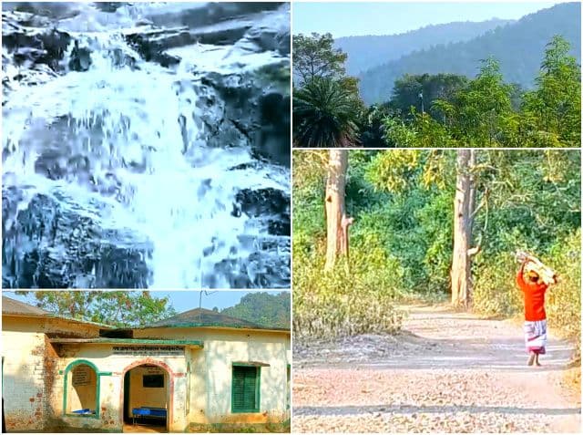 दलमा की तराई में पर्यटन की अपार संभावना, पहाड़िया टोला के आदिवासी समुदाय ने कॉटेज की उठाई मांग