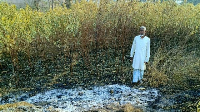 होली के दिन किसान की मेहनत जलकर राख: डेढ़ एकड़ अरहर की फसल आग में स्वाहा, परिवार पर टूटा आर्थिक संकट