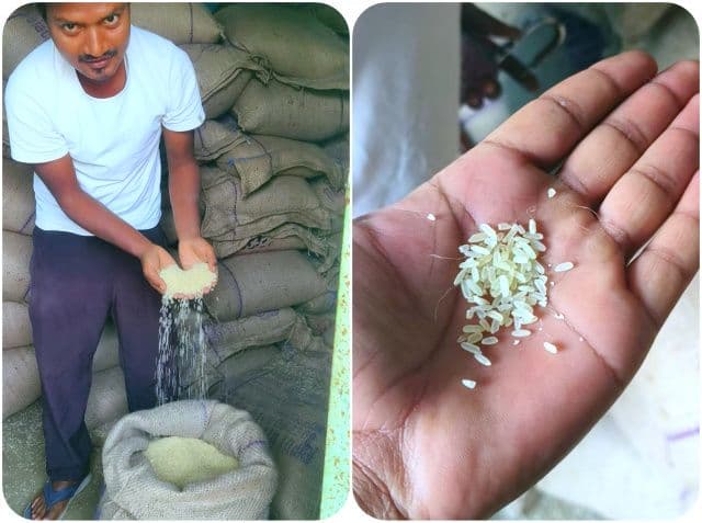 बरवाडीह में पीडीएस चावल की गुणवत्ता पर सवाल, कीड़े लगे और बदबूदार चावल मिलने से लाभुक नाराज