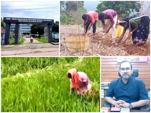 औद्योगिक विकास के साथ हरित क्रांति की ओर बढ़ता सरायकेला-खरसावां, व्यावसायिक खेती बनेगी आय का नया आधार