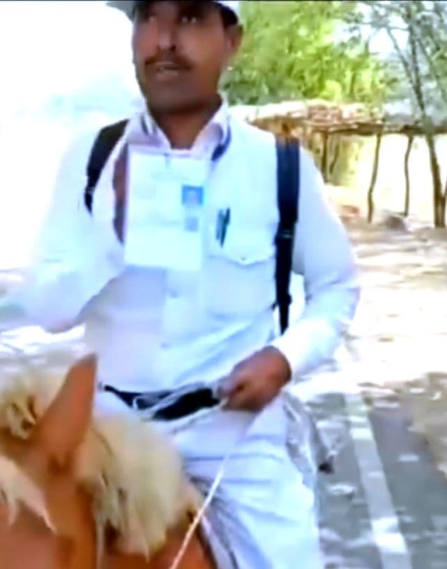 महंगाई की मार के बीच घोड़े पर जनगणना करने निकले शिक्षक, वीडियो हुआ वायरल
