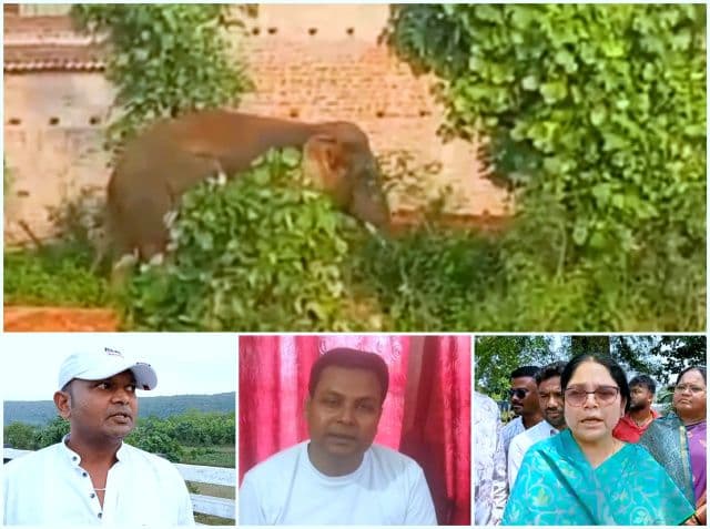 हाथी को नहीं बांध सकते बयान पर बढ़ा विवाद, वनपाल ने विधायक से पूछा- बालू माफियाओं पर चुप्पी क्यों?