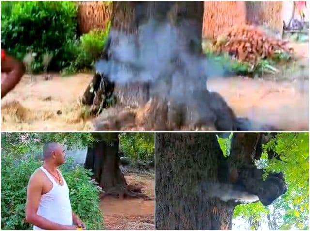 खाखरा गांव में विशाल इमली के पेड़ में लगी भीषण आग, ग्रामीणों में दहशत
