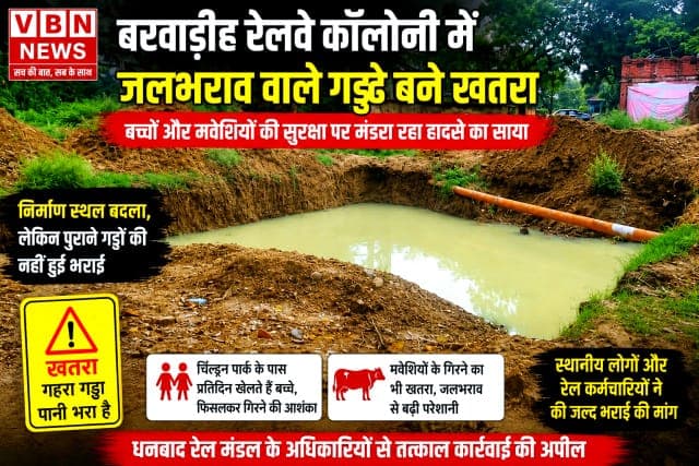 बरवाडीह रेलवे कॉलोनी में मौत को दावत देते जलभराव वाले गड्ढे, बच्चों और मवेशियों पर मंडरा रहा खतरा