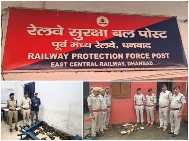 दून एक्सप्रेस के जनरल कोच में मिले 48 जिंदा कछुए, गोमो स्टेशन पर RPF की बड़ी कार्रवाई
