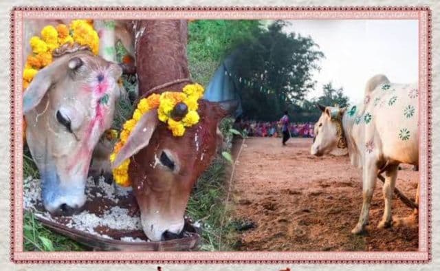 ग्रामीण झारखंड में पारंपरिक उल्लास के साथ मनाया गया सोहराय पर्व