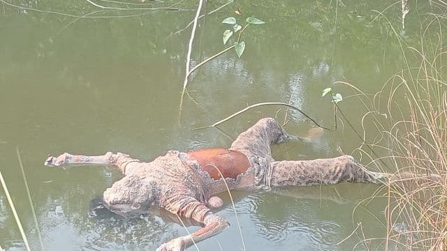 तालाब में तैरता मिला अज्ञात महिला का शव, इलाके में मचा हड़कंप
