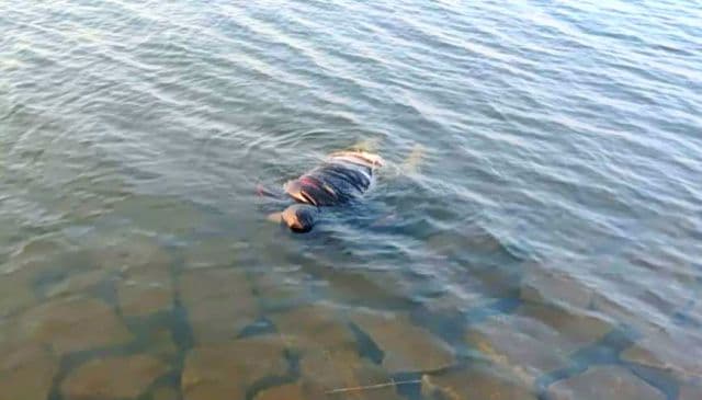 धुर्वा डैम हादसा: चौथे पुलिसकर्मी सत्येंद्र सिंह का शव बरामद