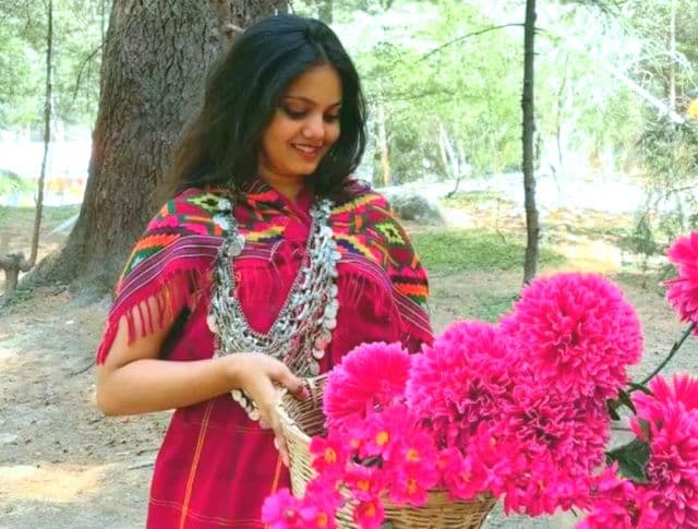 वरिष्ठ पत्रकार कार्तिक कुमार की पुत्री दर्शना शिखर ने CLAT 2026 में रच दिया सफलता का इतिहास