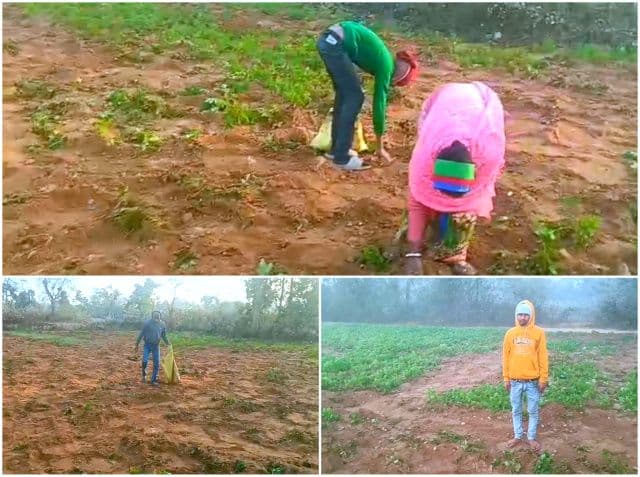 मासूम का शव, पास खड़ा हाथी और चीखता गांव, कोल्हान में मानव-वन्यजीव संघर्ष चरम पर, मझगांव में और दो की दर्दनाक मौत